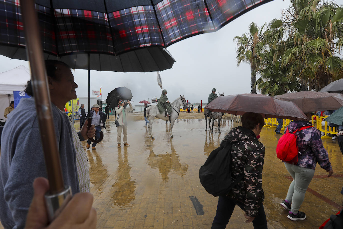 Fotos: Cádiz comienza la peregrinación a la aldea de El Rocío