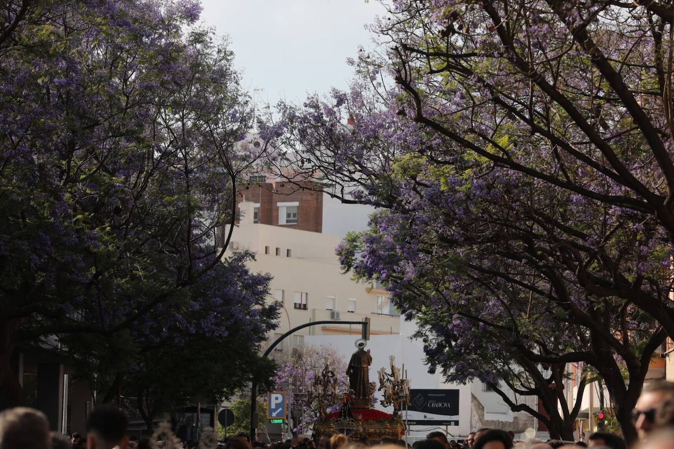 Fotos: Así ha sido la procesión de María Auxiliadora en Cádiz