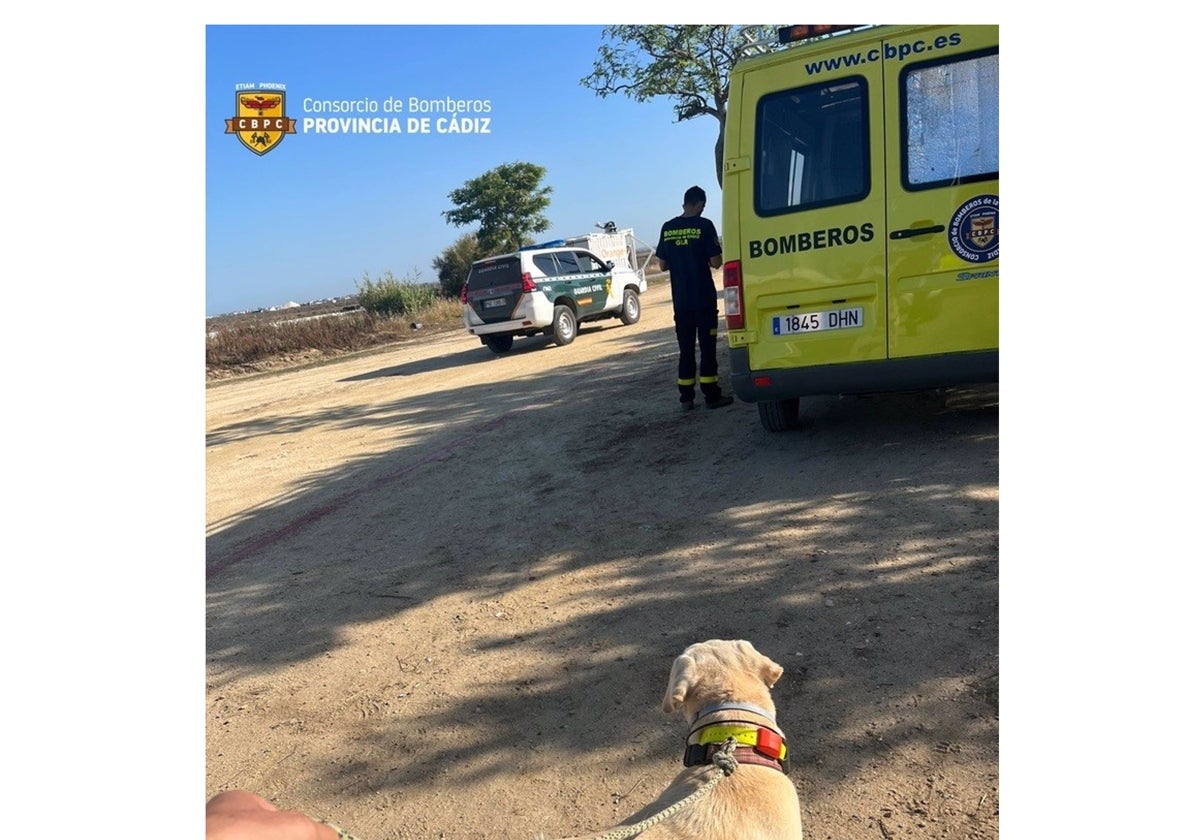 La unidad canina del Consorcio de Bomberos de la Provincia de Cádiz.