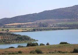 Los embalses de Cádiz, con menos  agua a pesar de las lluvias de mayo