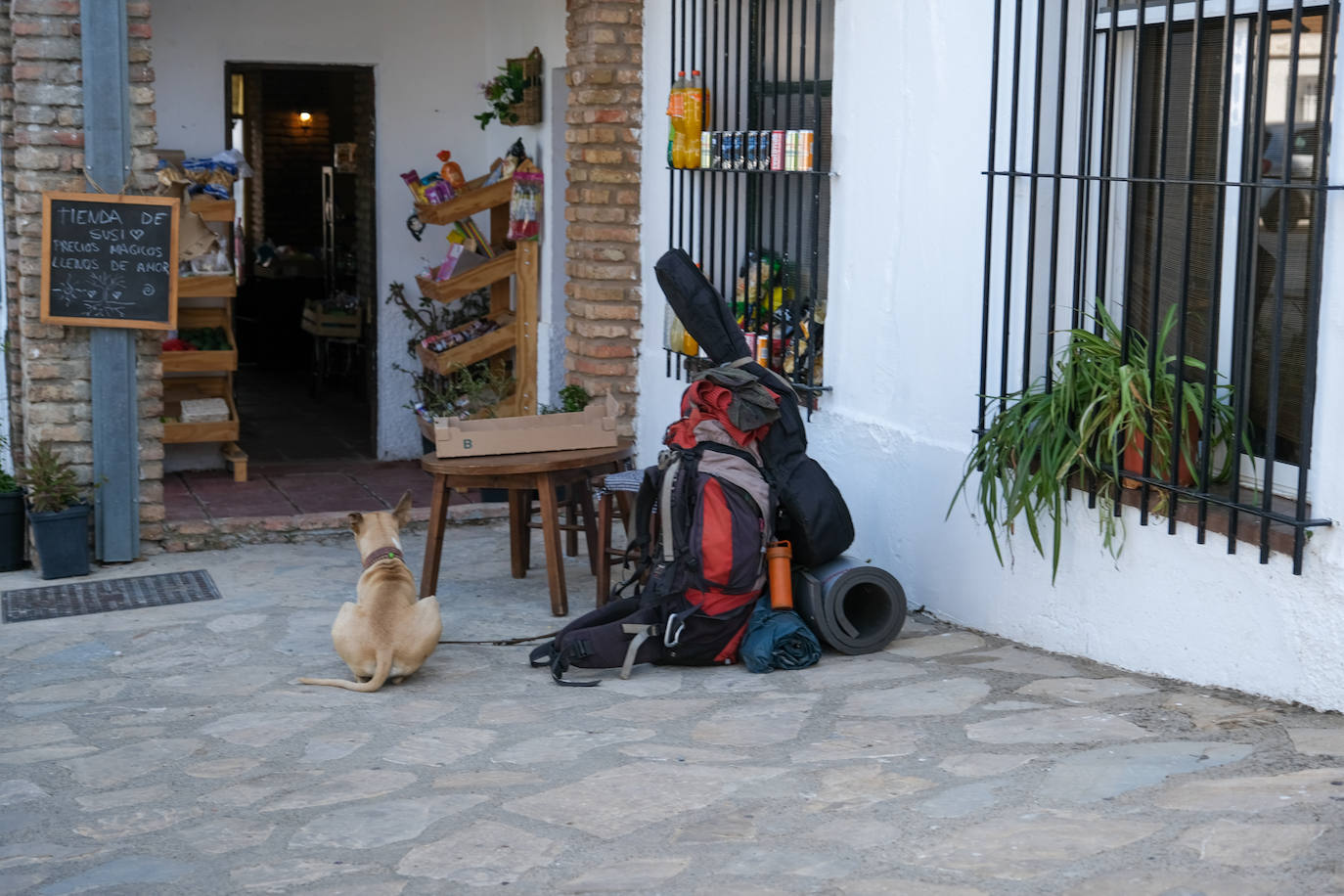 Fotos: Así es el viaje al Benaocaz más hippie