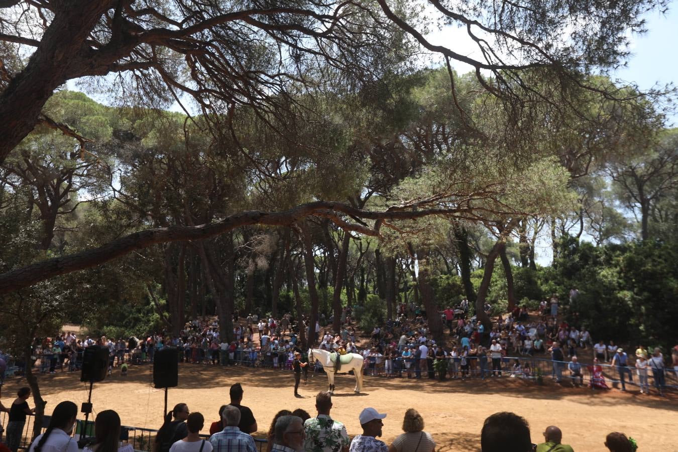 Fotos: Gran domingo de feria en Puerto Real