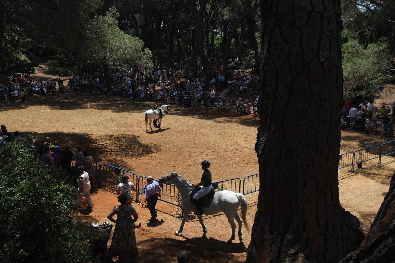 Fotos: Gran domingo de feria en Puerto Real