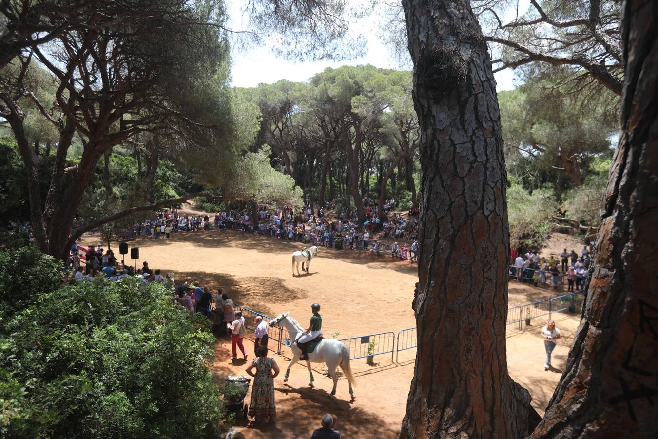 Fotos: Gran domingo de feria en Puerto Real