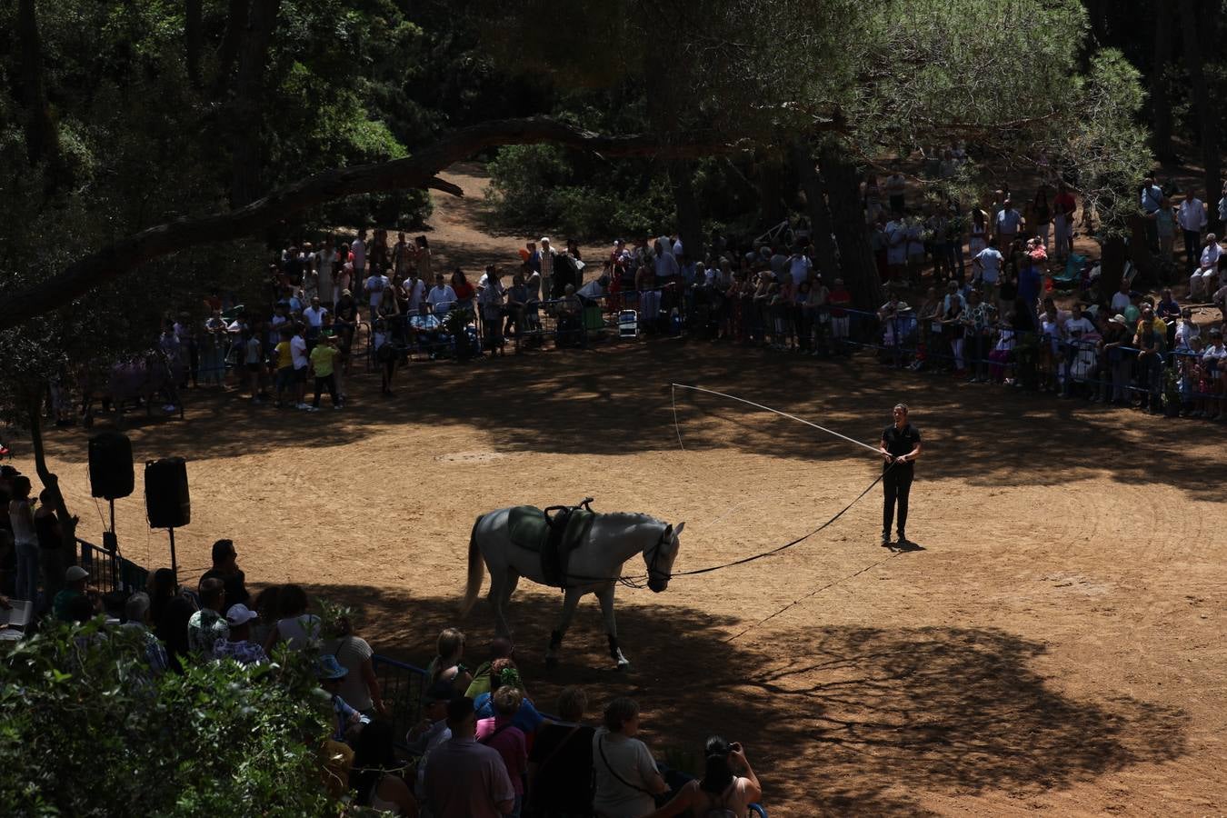 Fotos: Gran domingo de feria en Puerto Real