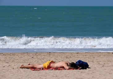 Los expertos alertan sobre el verano de 2023: olas de calor y temperaturas extremas