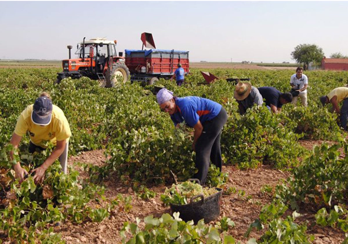 La agricultura gaditana se queda sin herederos