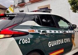 Detenidas dos personas en Jerez con una plantación de marihuana en una vivienda de protección oficial okupada