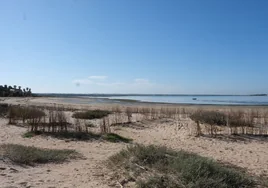 Levantamiento de la prohibición del baño en la playa de La Cachucha en Puerto Real