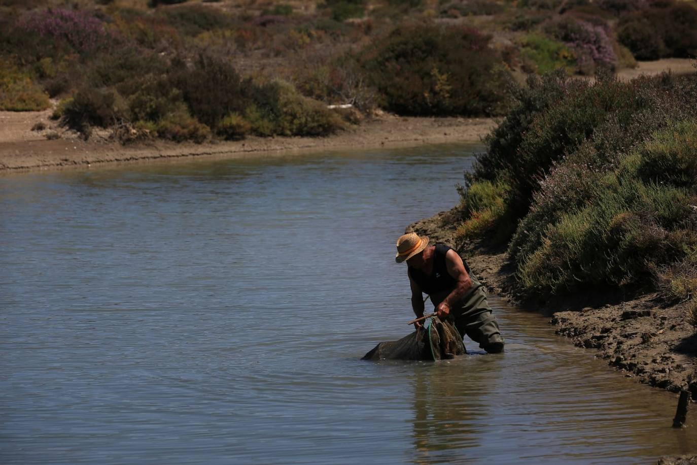 Fotos: Recuperadas las salinas de Balbanera