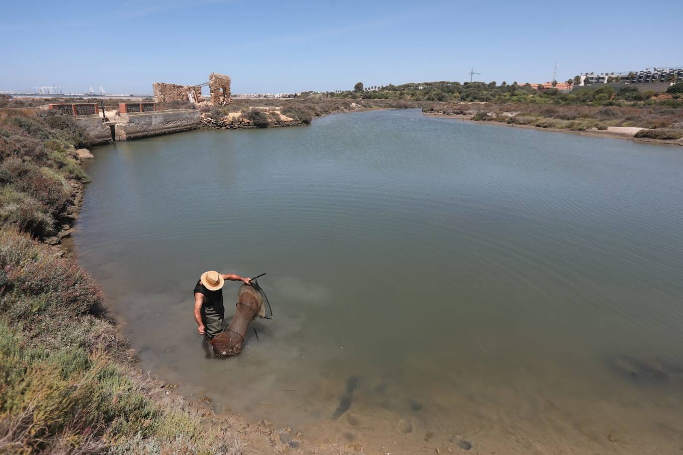 Fotos: Recuperadas las salinas de Balbanera