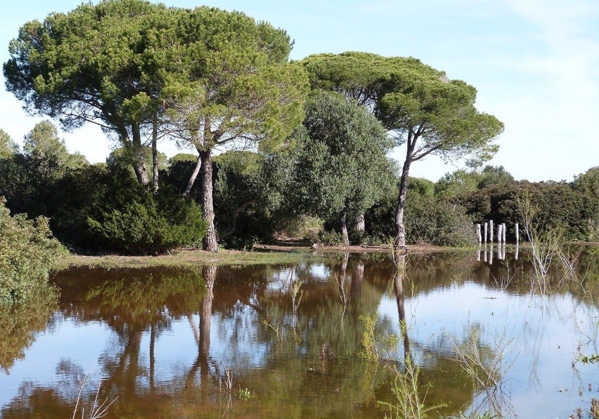 El Parque de los Toruños arranca este sábado con la celebración de los 200 años del Trocadero