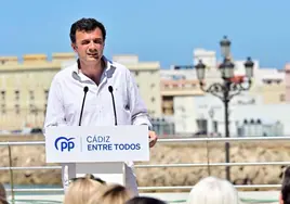 La provincia de Cádiz constituye sus ayuntamientos