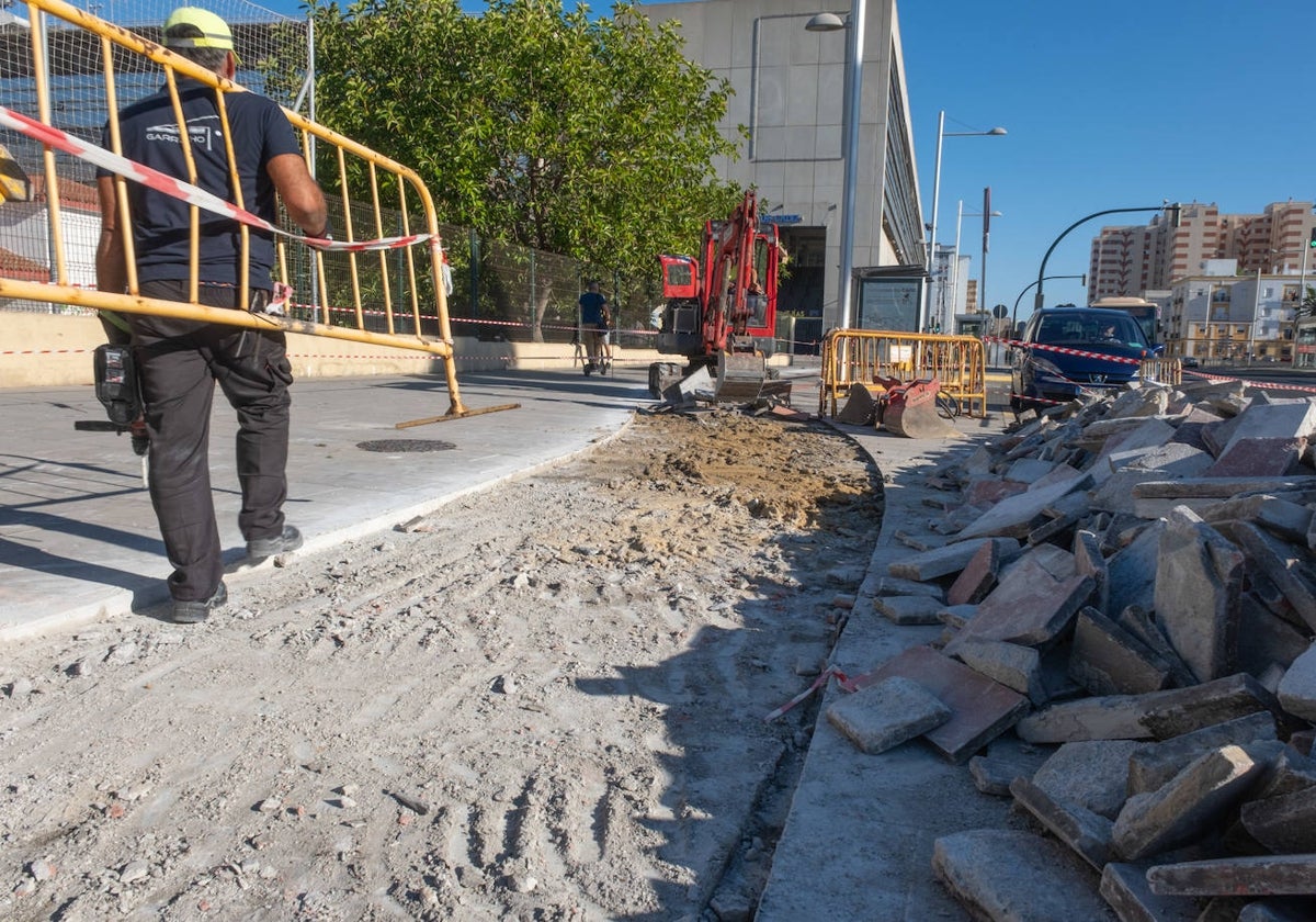 Comienzan las obras de remodelación del carril bici en la Avenida de la Sanidad Pública