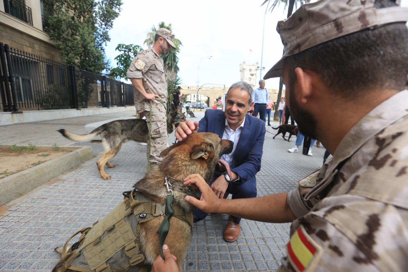 Las imágenes de la campaña de sensibilización para la tenencia responsable de mascotas