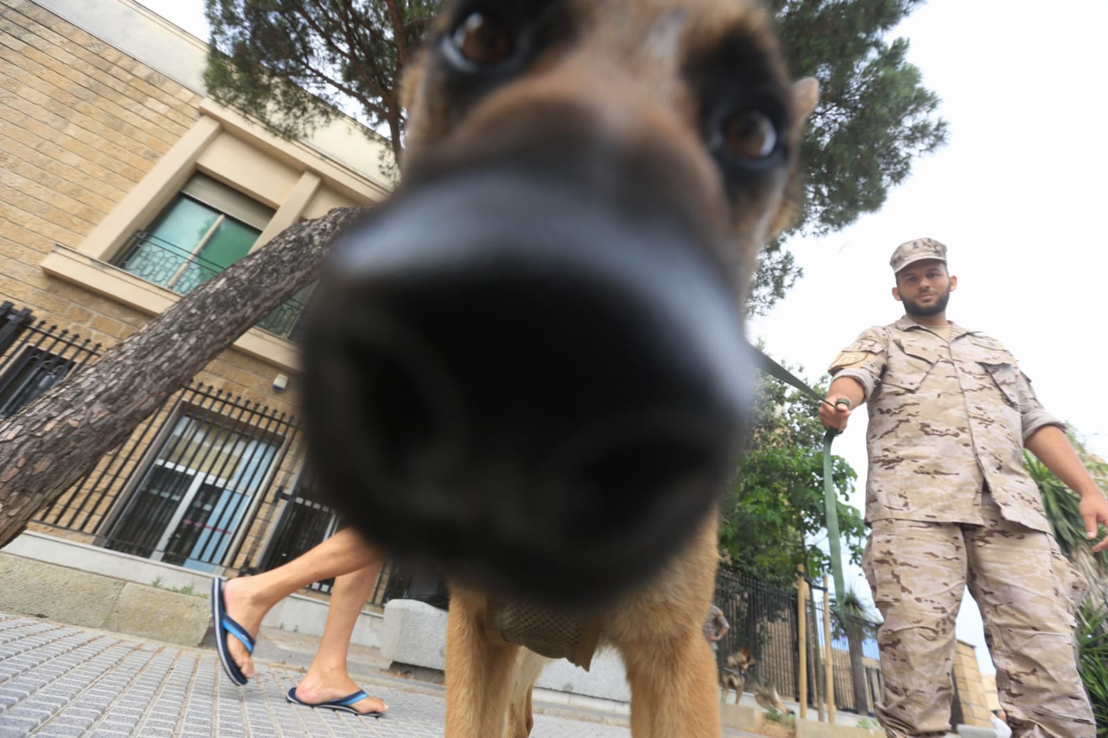 Las imágenes de la campaña de sensibilización para la tenencia responsable de mascotas