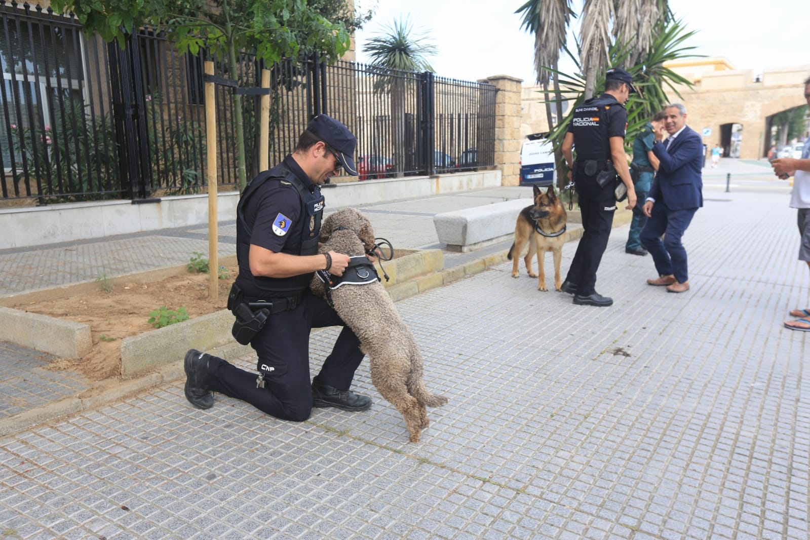 Las imágenes de la campaña de sensibilización para la tenencia responsable de mascotas