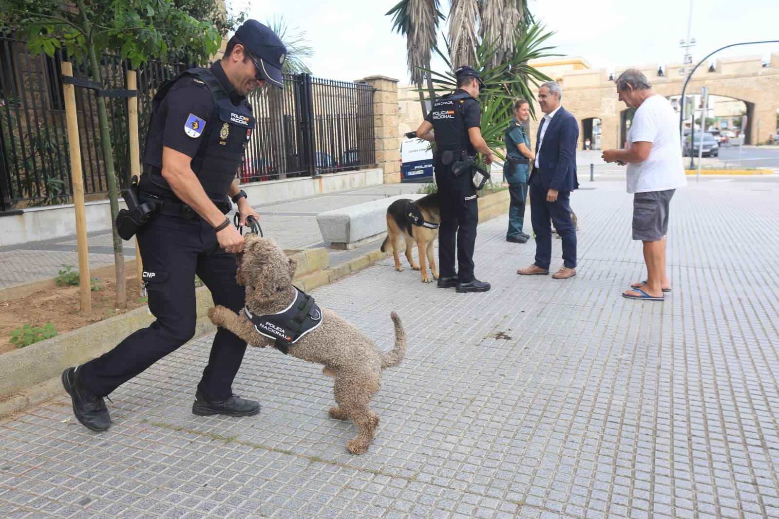 Las imágenes de la campaña de sensibilización para la tenencia responsable de mascotas