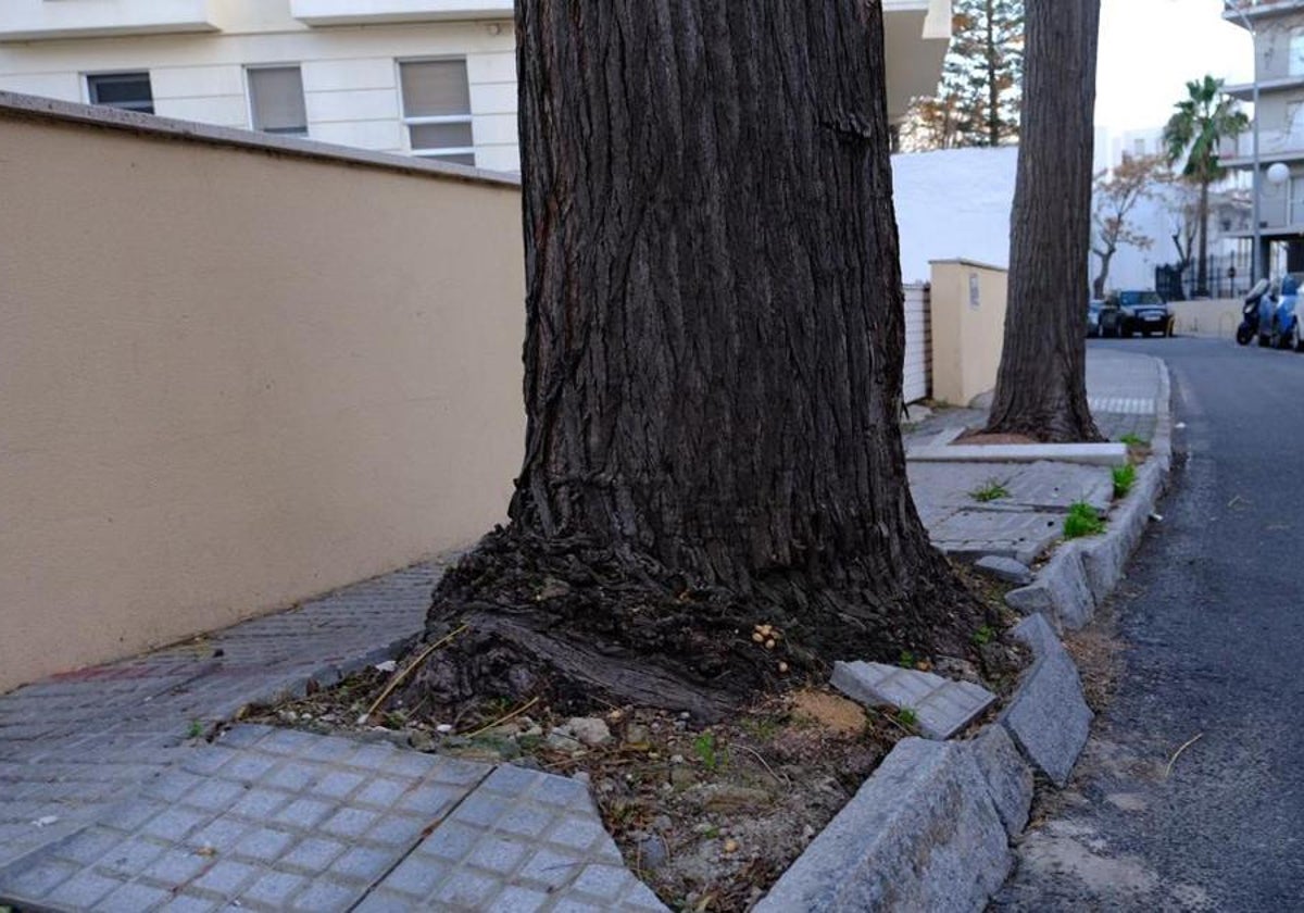 Vecinos de Cádiz esperan un cambio de talante en el Ayuntamiento después de ocho años de «ninguneo y dejadez extrema»