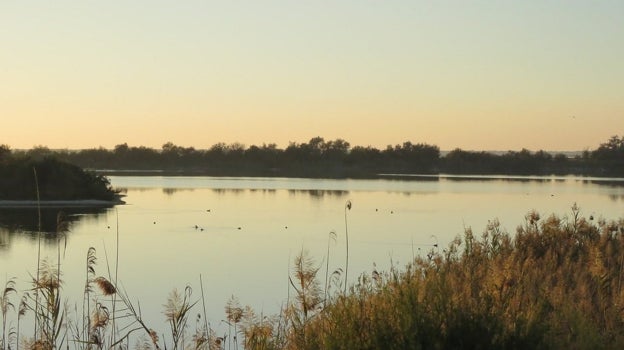 Laguna de Tarelo, Sanlúcar de Barrameda