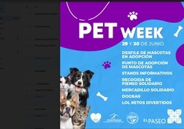 El Paseo celebra la semana de las mascotas en el Puerto
