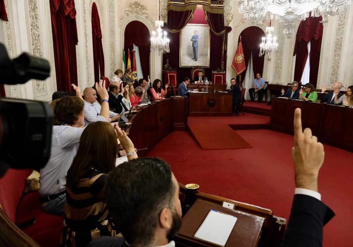 La propuesta de organización del Gobierno ha sido aprobada por mayoría con el apoyo del PSOE y la abstención de AIG.