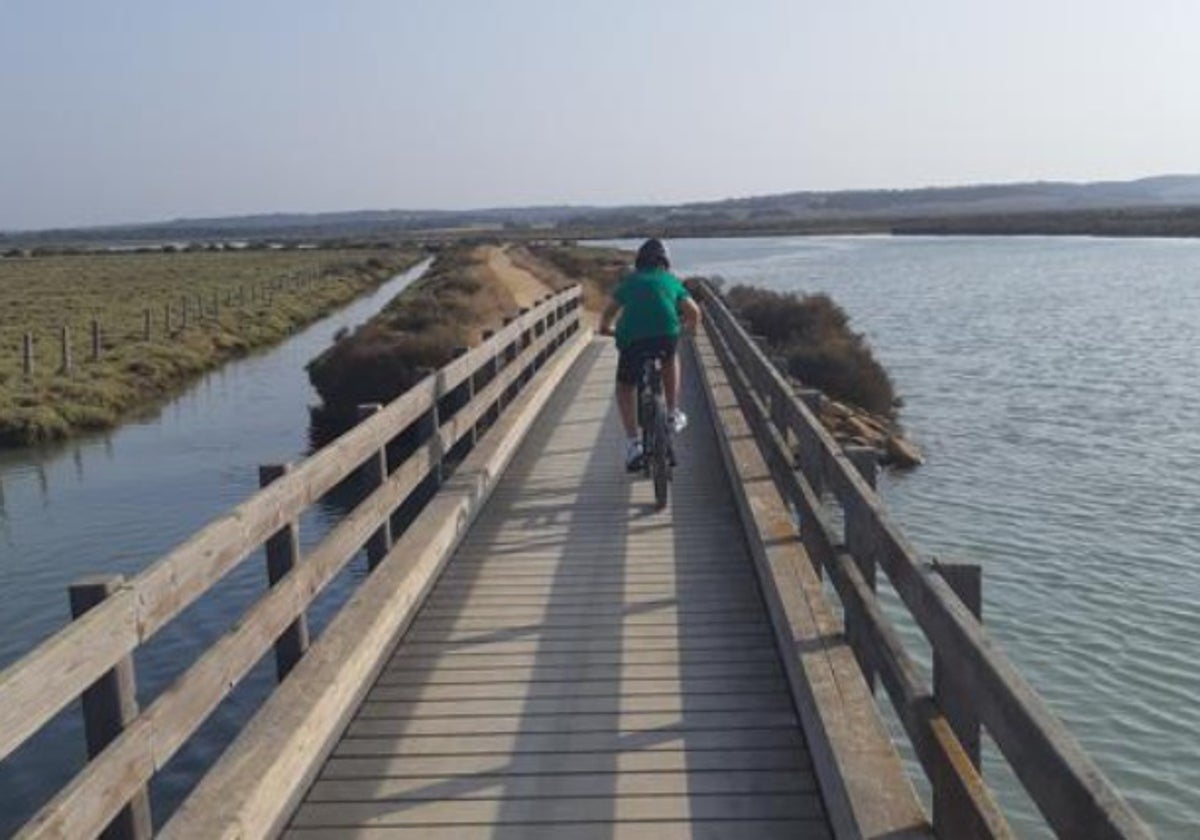 Los nuevos equipamientos de las Marismas de Barbate permitirán disfrutar más del turismo de naturaleza