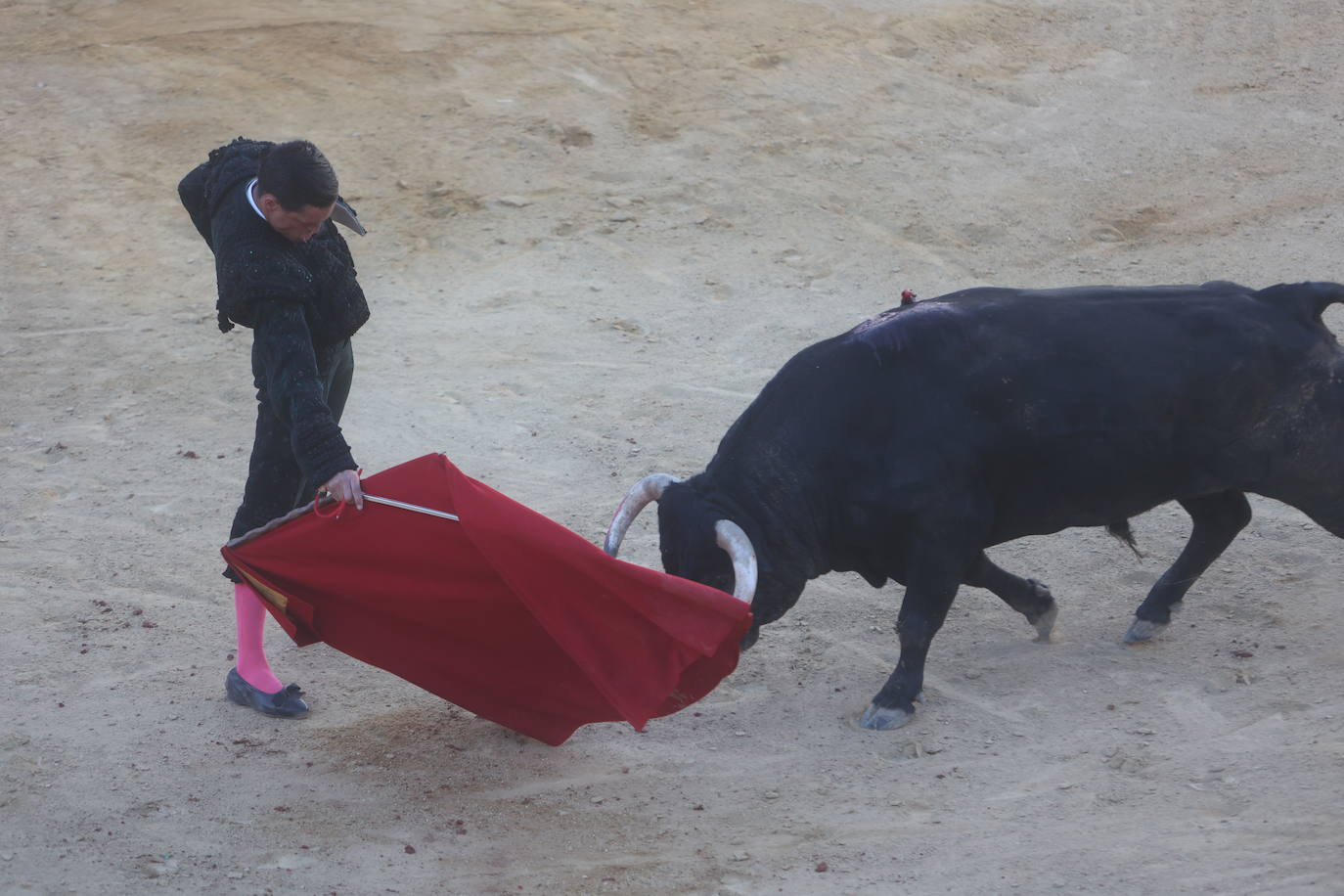 Fotos: Toreo y cante, de la mano en la Isla