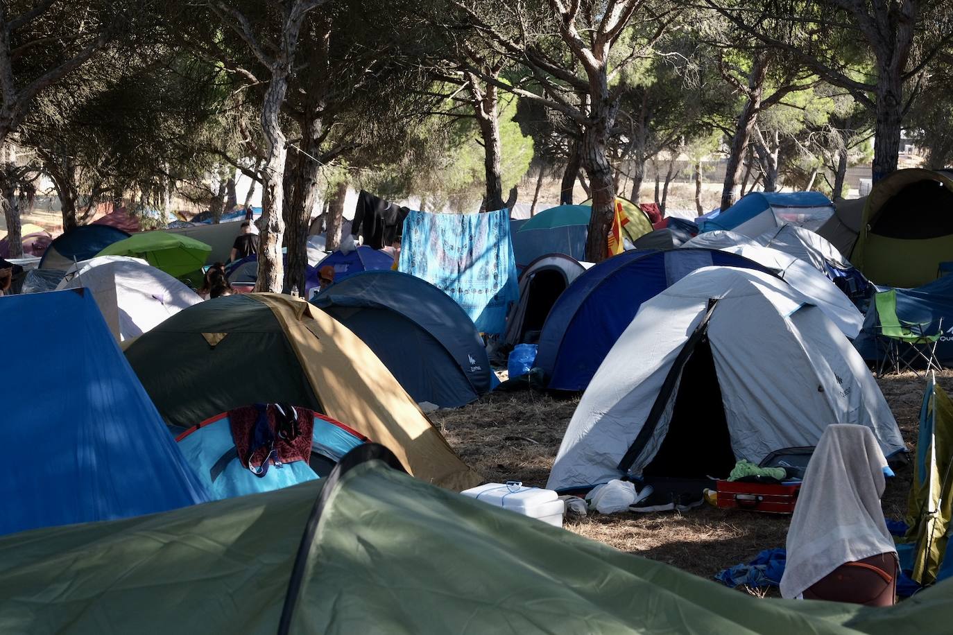 Fotos: Arranca fuerza el festival Cabo de Plata de Barbate
