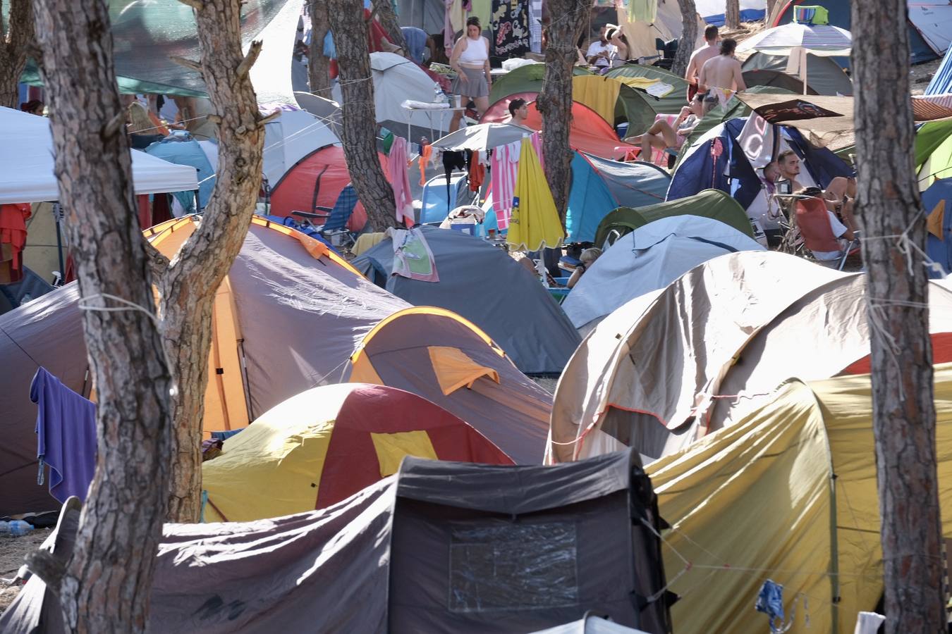 Fotos: Gran ambiente en el cierre del Festival Cabo de Plata 2023