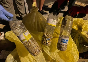 «En nuestra última recogida de basura en Santa María llenamos siete bolsas»