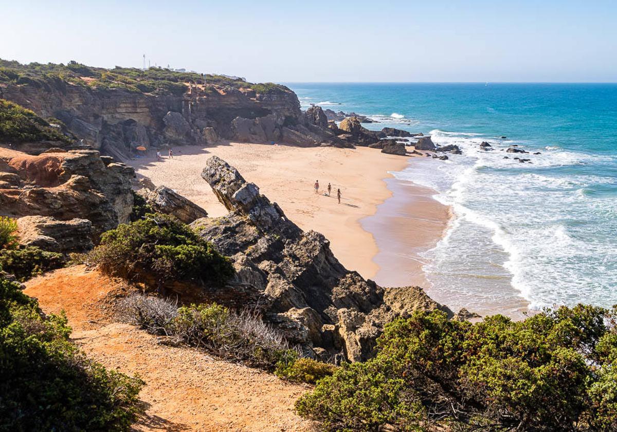 Playas de Conil  Guía de Cádiz