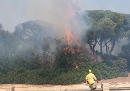 Investigan como intencionado el incendio de Puerto Real con múltiples focos que ha provocado el caos