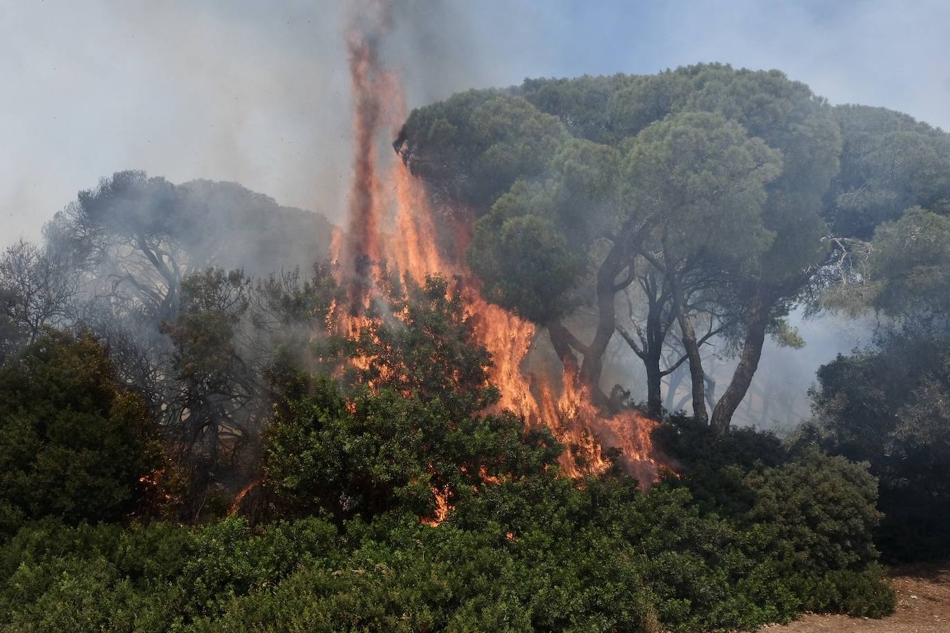 Fotos: el incendio en las Canteras de Puerto Real, en imágenes