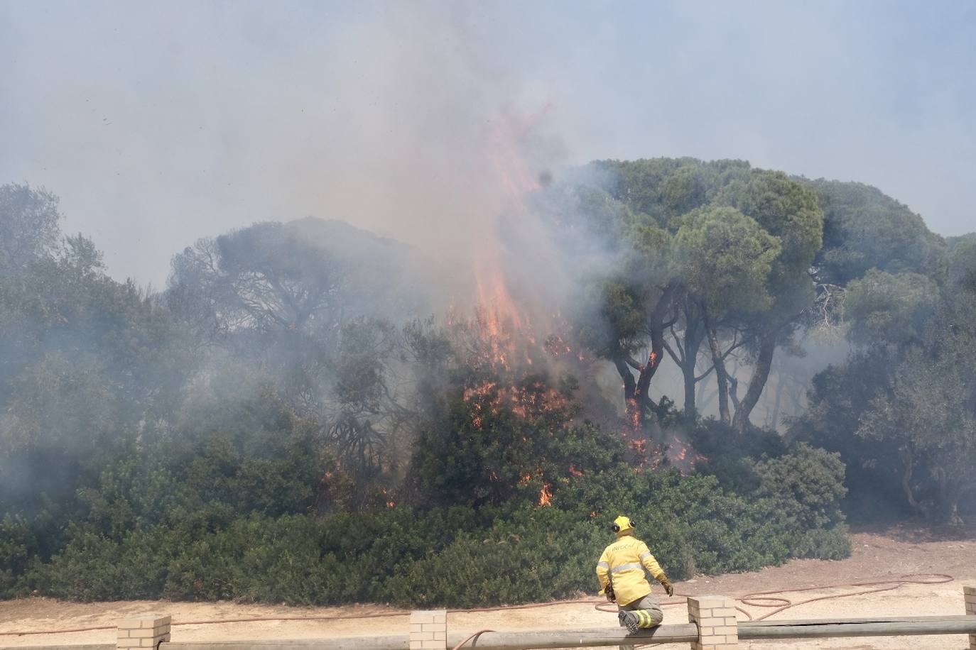 Fotos: el incendio en las Canteras de Puerto Real, en imágenes