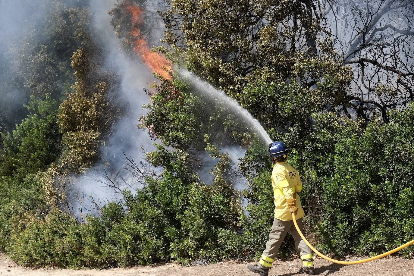 Fotos: el incendio en las Canteras de Puerto Real, en imágenes