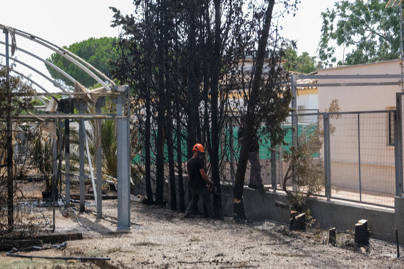 El día después en Puerto Real: la ciudad despierta entre las cenizas