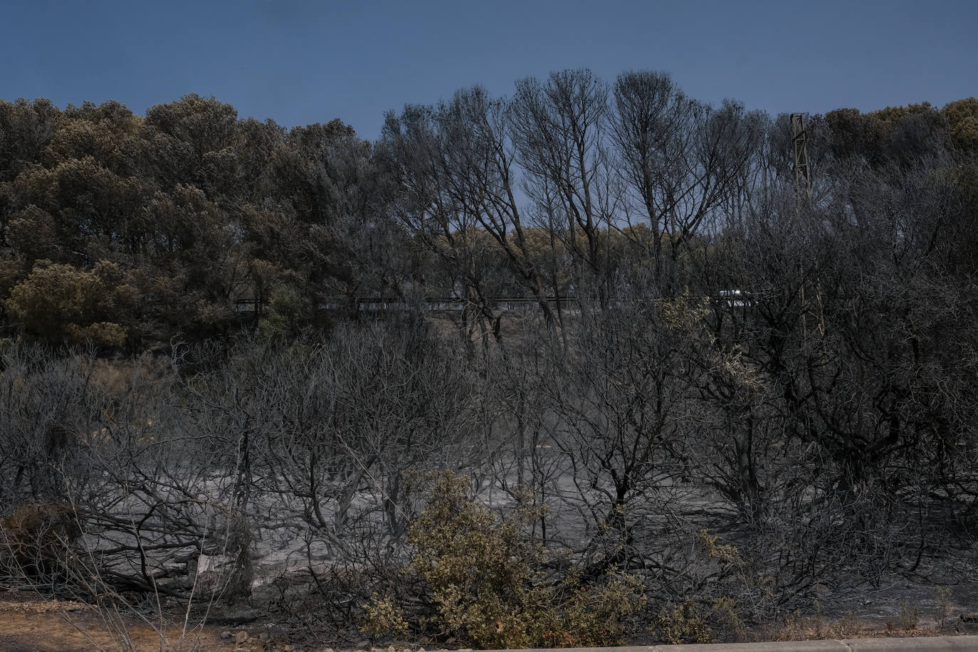 El día después en Puerto Real: la ciudad despierta entre las cenizas