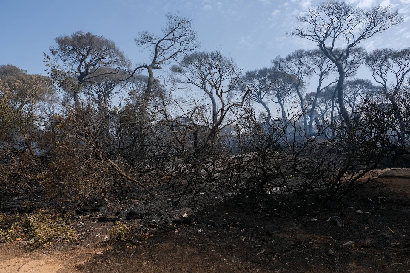 El día después en Puerto Real: la ciudad despierta entre las cenizas