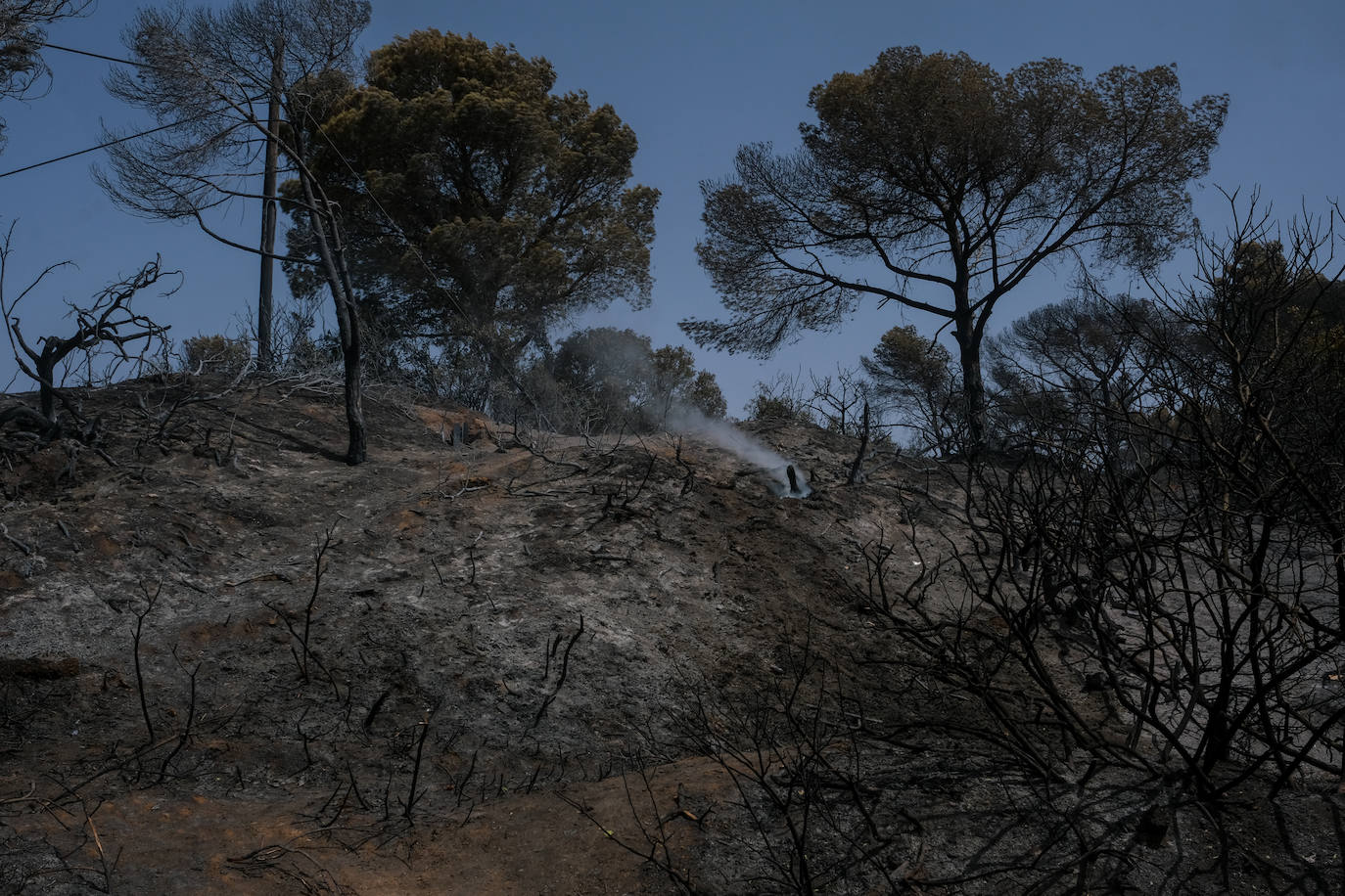 El día después en Puerto Real: la ciudad despierta entre las cenizas