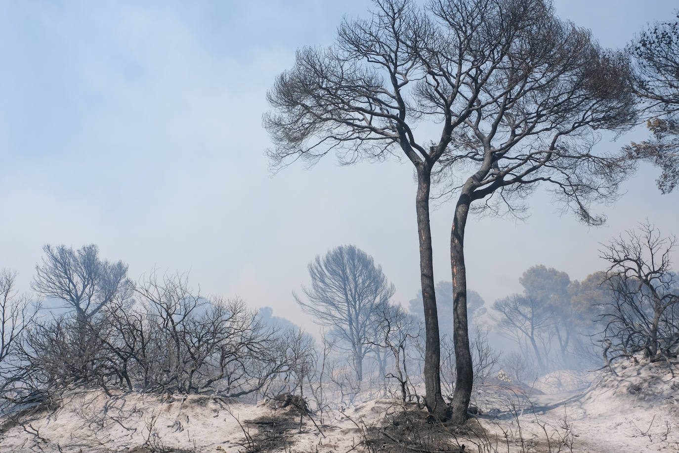 Así era el parque natural de Las Canteras y así ha quedado tras el incendio