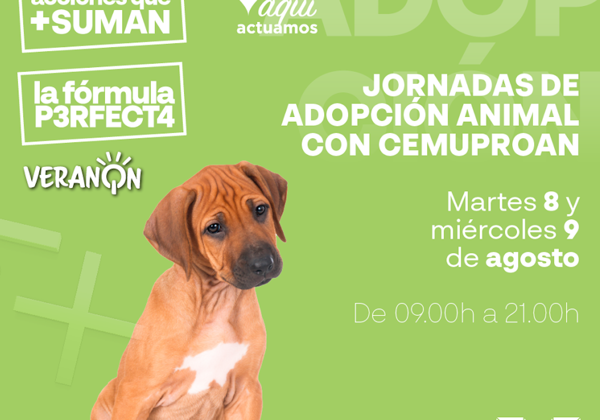 El Paseo acoge unas jornadas de adopción animal junto a Cemuproan