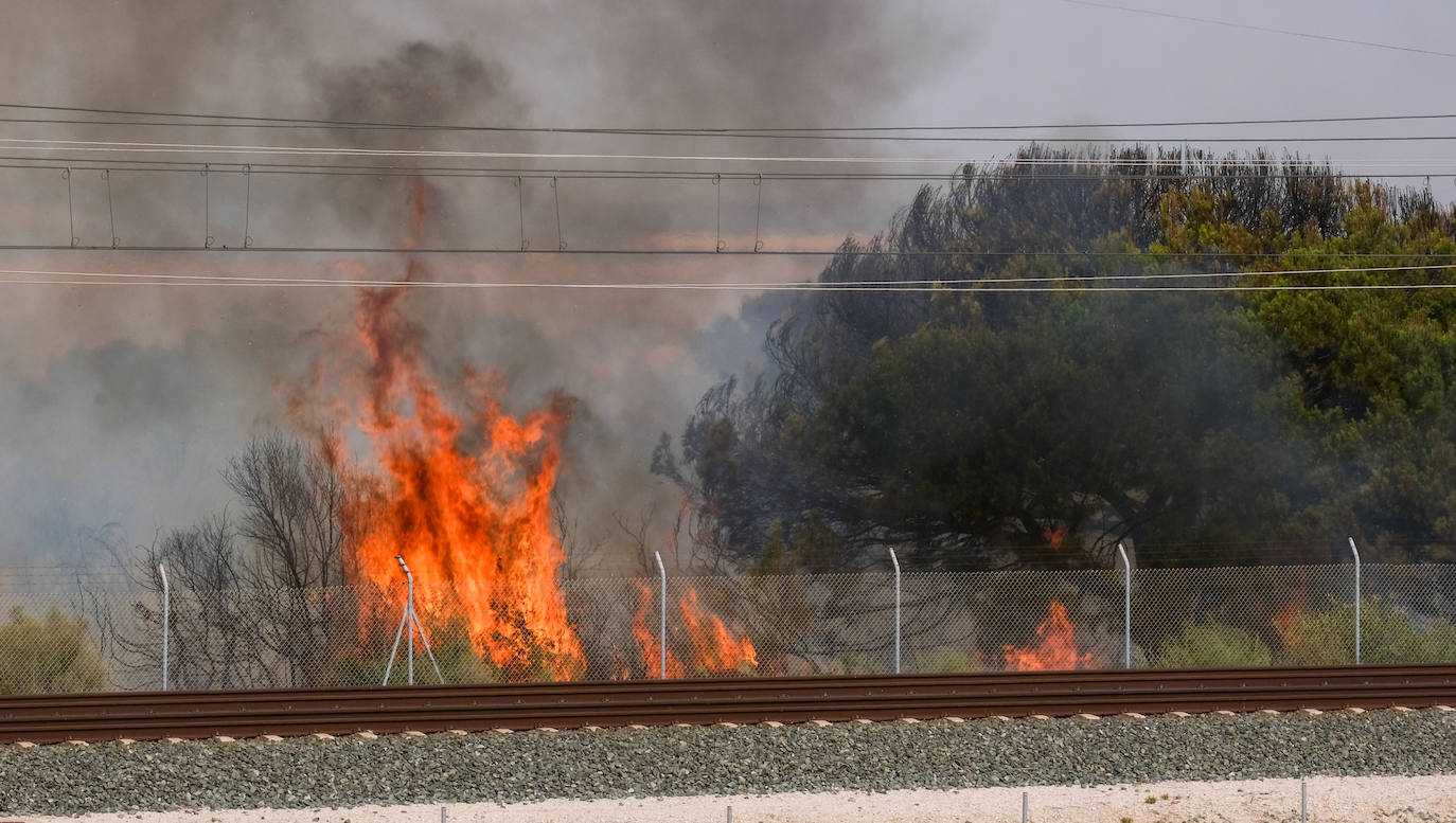 FOTOS: Fuego en el Tiro Pichón, en El Puerto