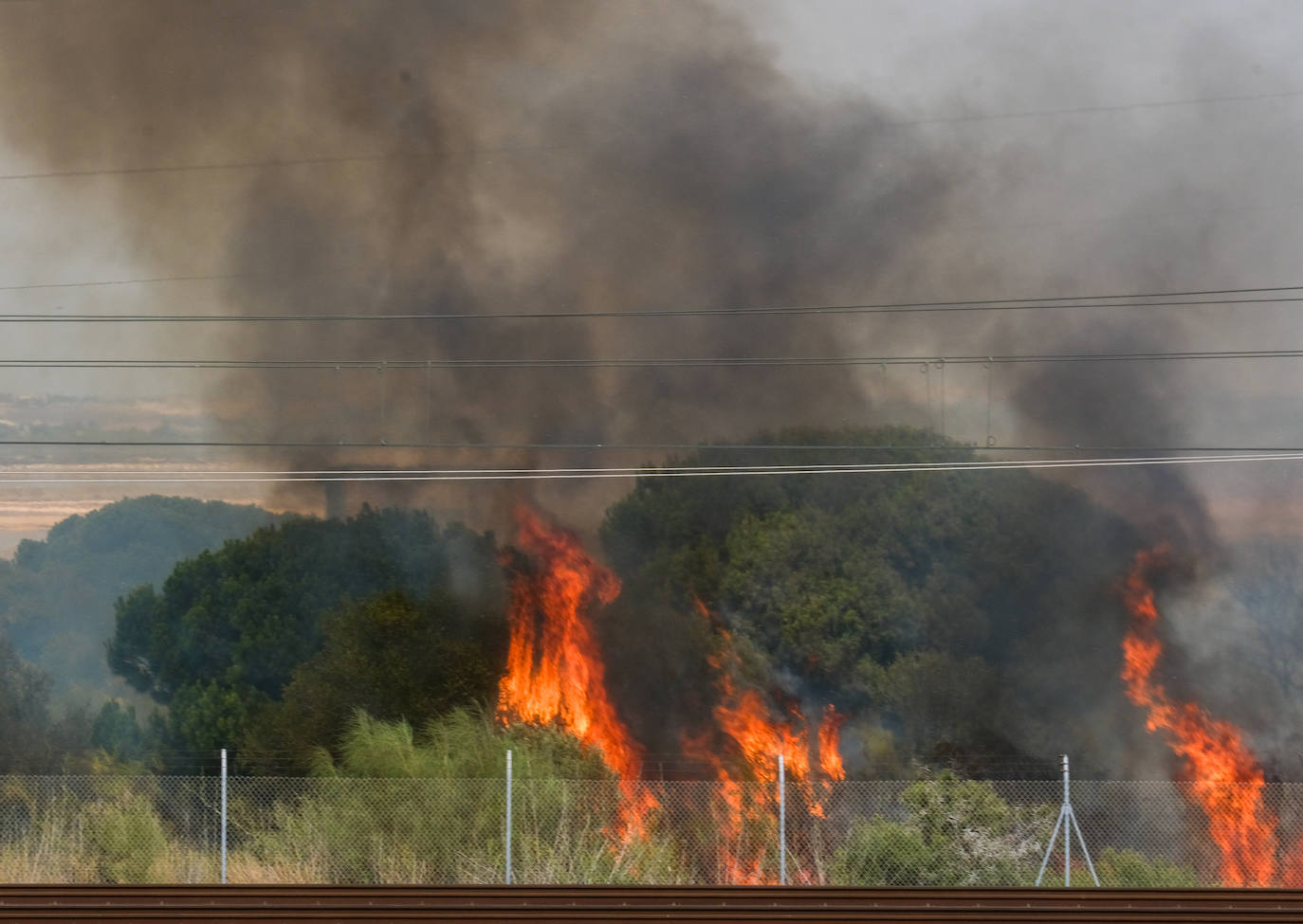 FOTOS: Fuego en el Tiro Pichón, en El Puerto