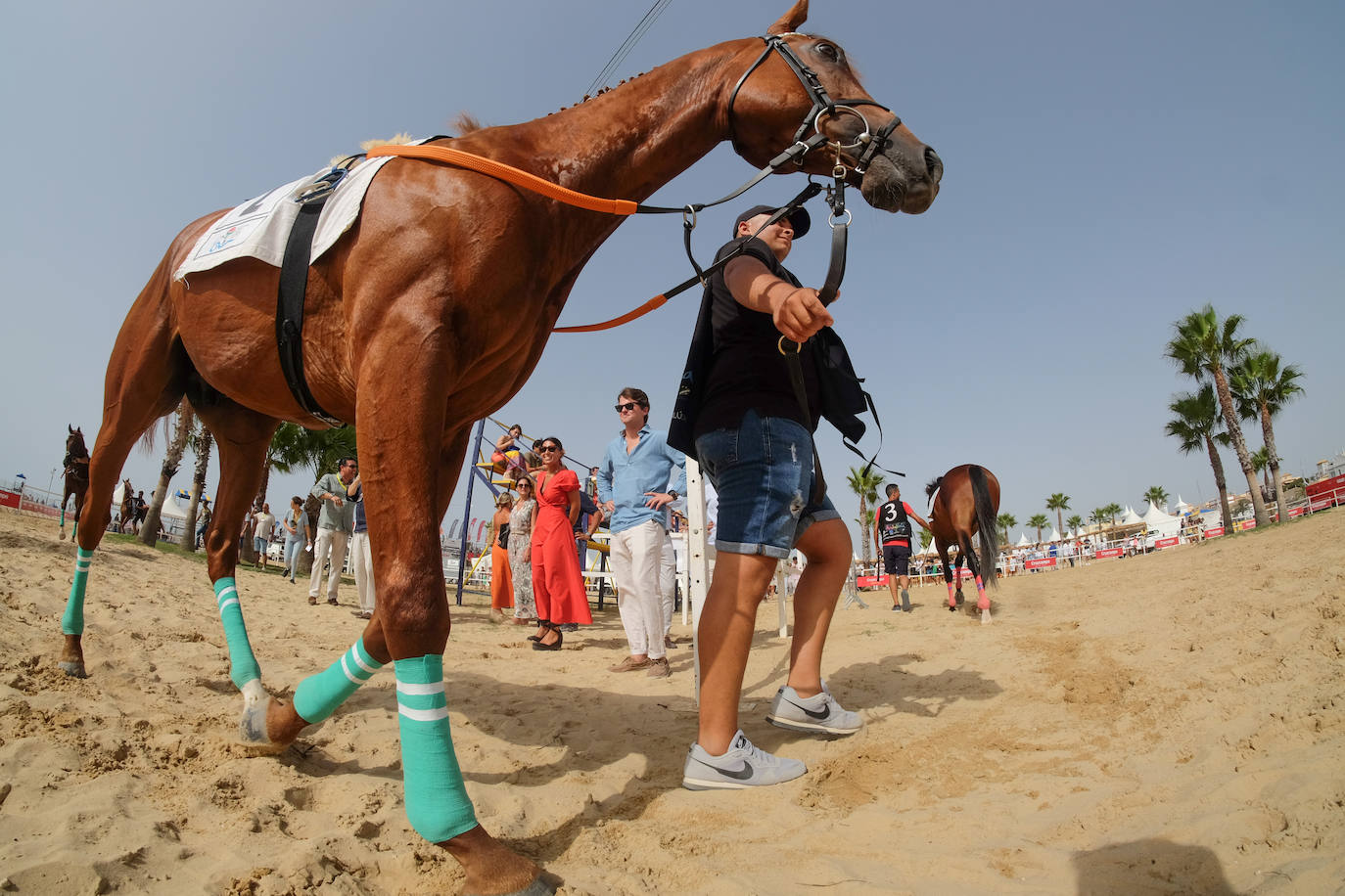 Fotos: Carreras de Caballos de Sanlúcar 2023 (jueves 10 de agosto)