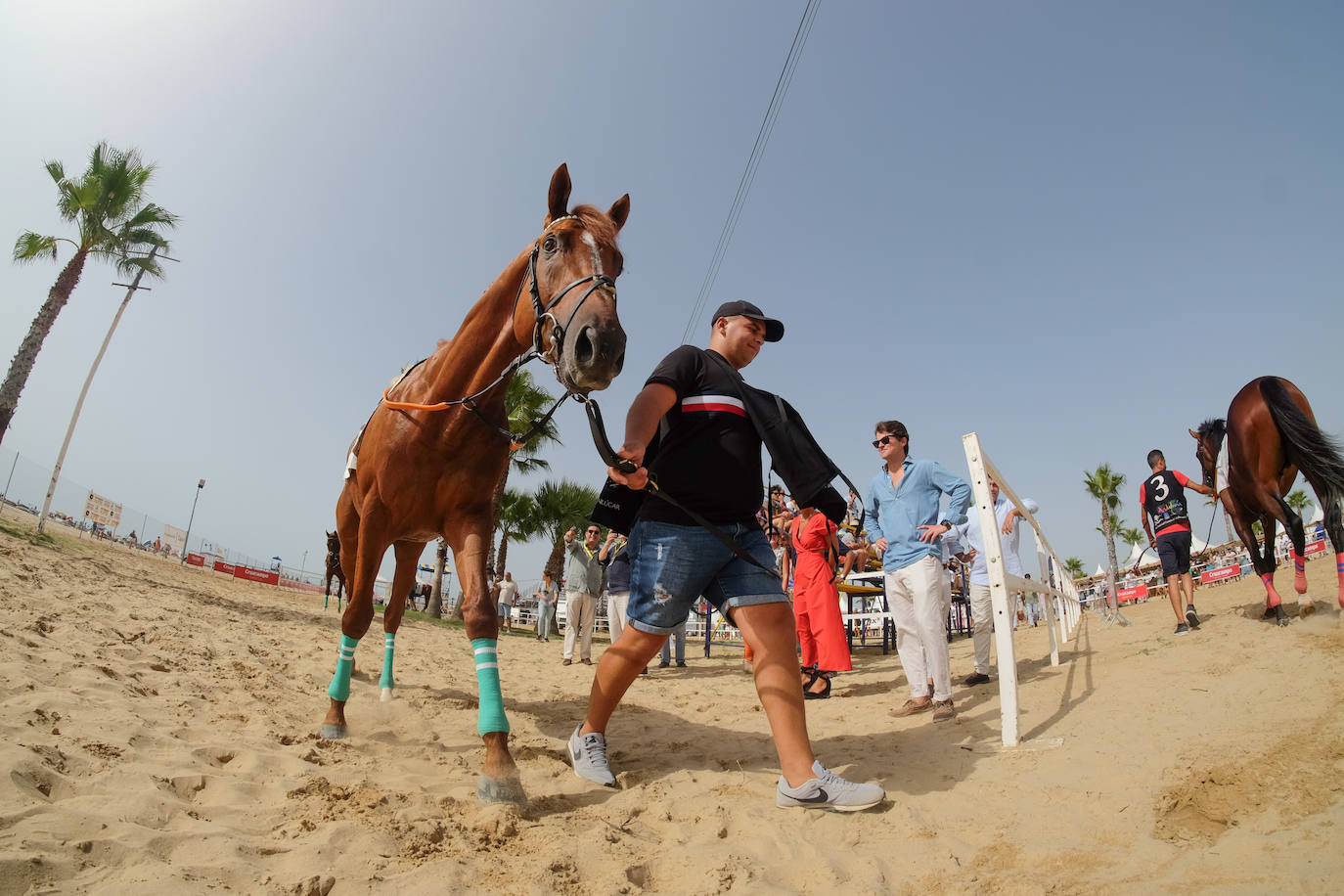 Fotos: Carreras de Caballos de Sanlúcar 2023 (jueves 10 de agosto)