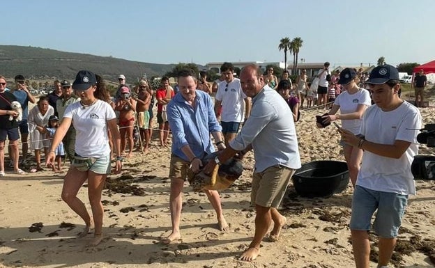 &#039;Aurorita&#039; y otras cuatro tortugas bobas más regresan al mar tras ser liberadas en la playa de Bolonia