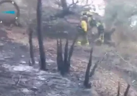 Infoca da por controlado el incendio forestal declarado en el paraje Sierra Carbonera de San Roque