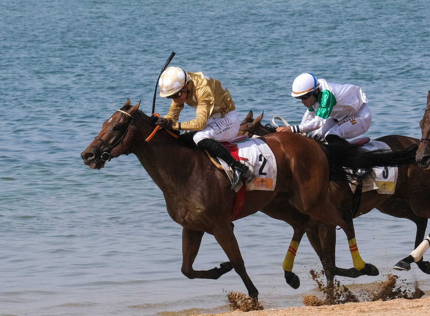 FOTOS: Arranca el segundo ciclo de las Carreras de Caballos en Sanlúcar