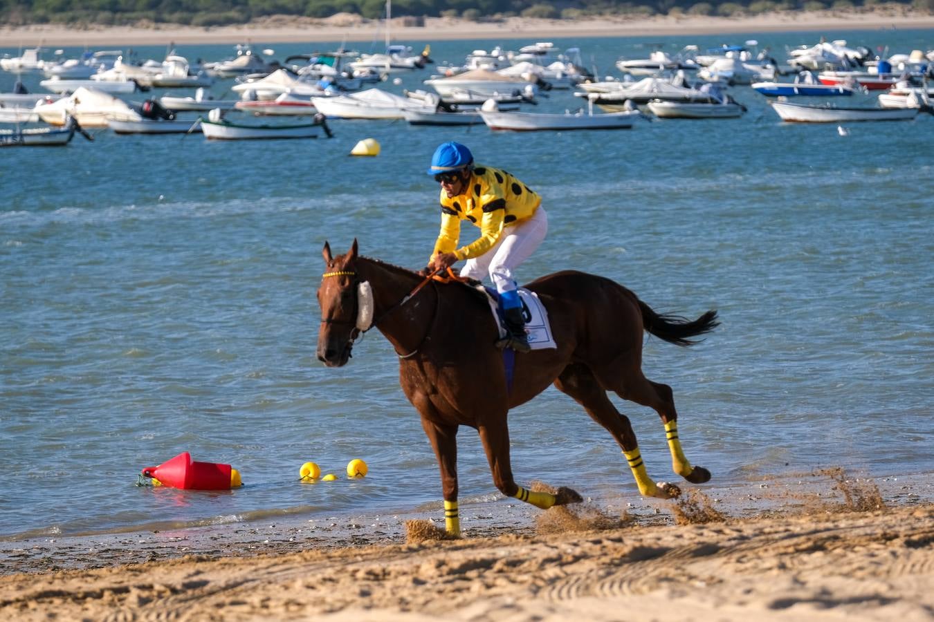 Fotos: Sanlúcar disfruta con el último galope del verano